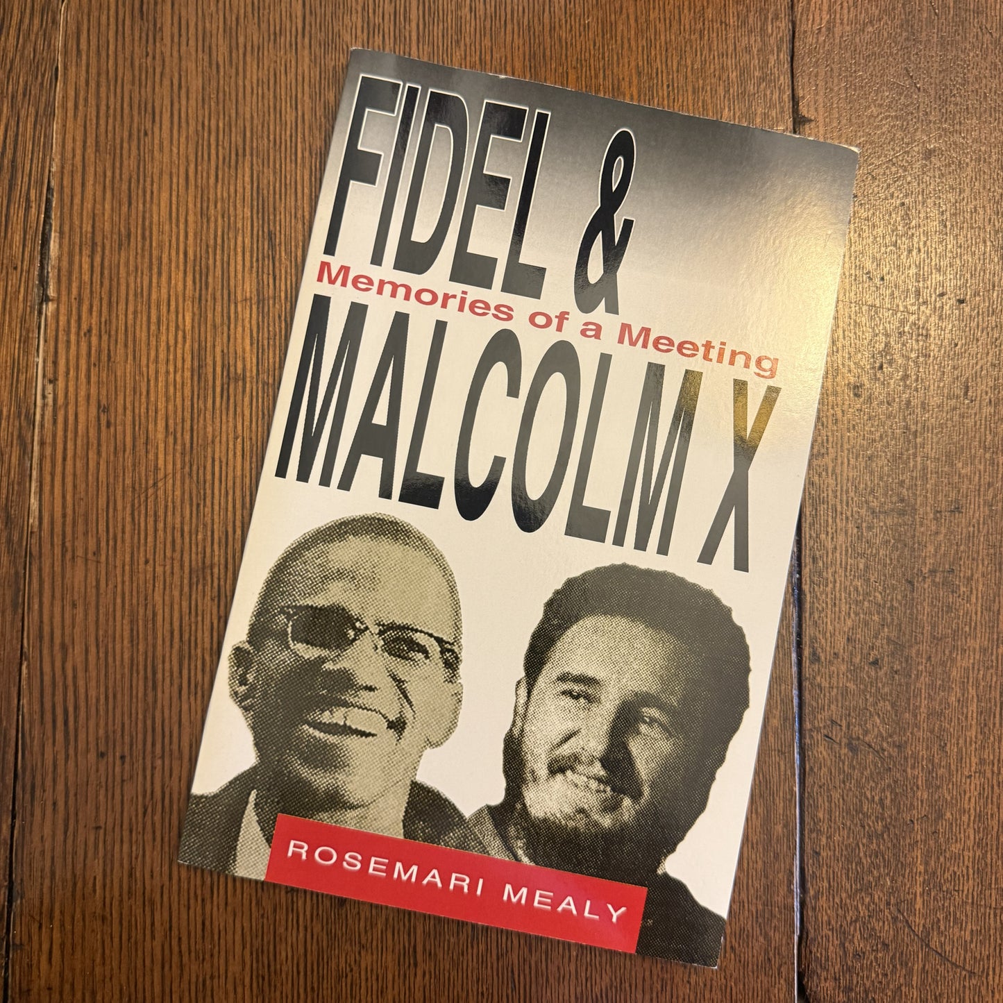 Fidel & Malcolm X: Memories of a Meeting