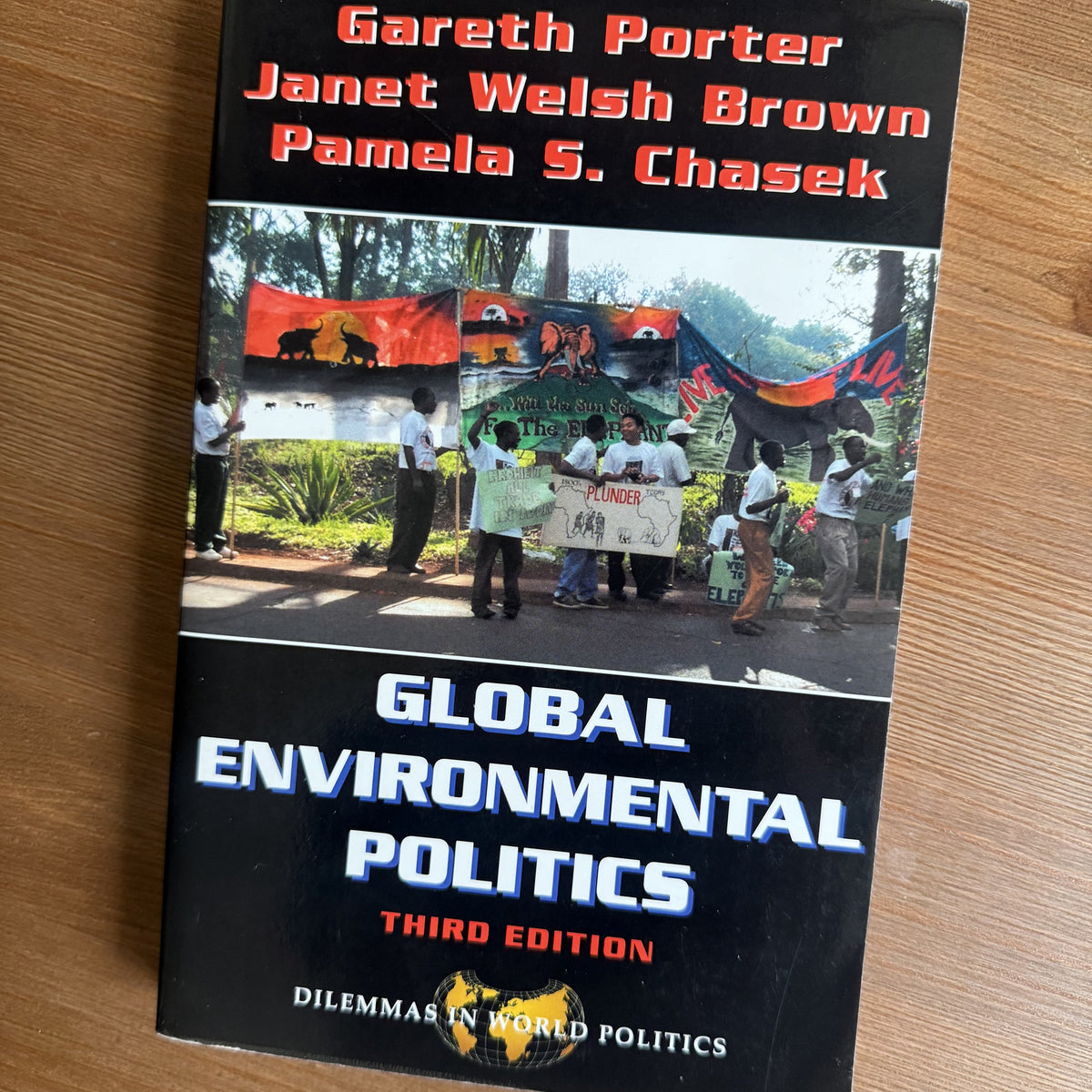 Global Environmental Politics - Gareth Porter, Janet Welsh Brown, Pamela S. Chasek