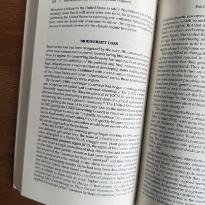 Global Environmental Politics - Gareth Porter, Janet Welsh Brown, Pamela S. Chasek